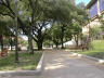 Random view on UT campus