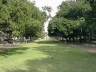 Mall on UT campus