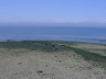 Puget Sound
